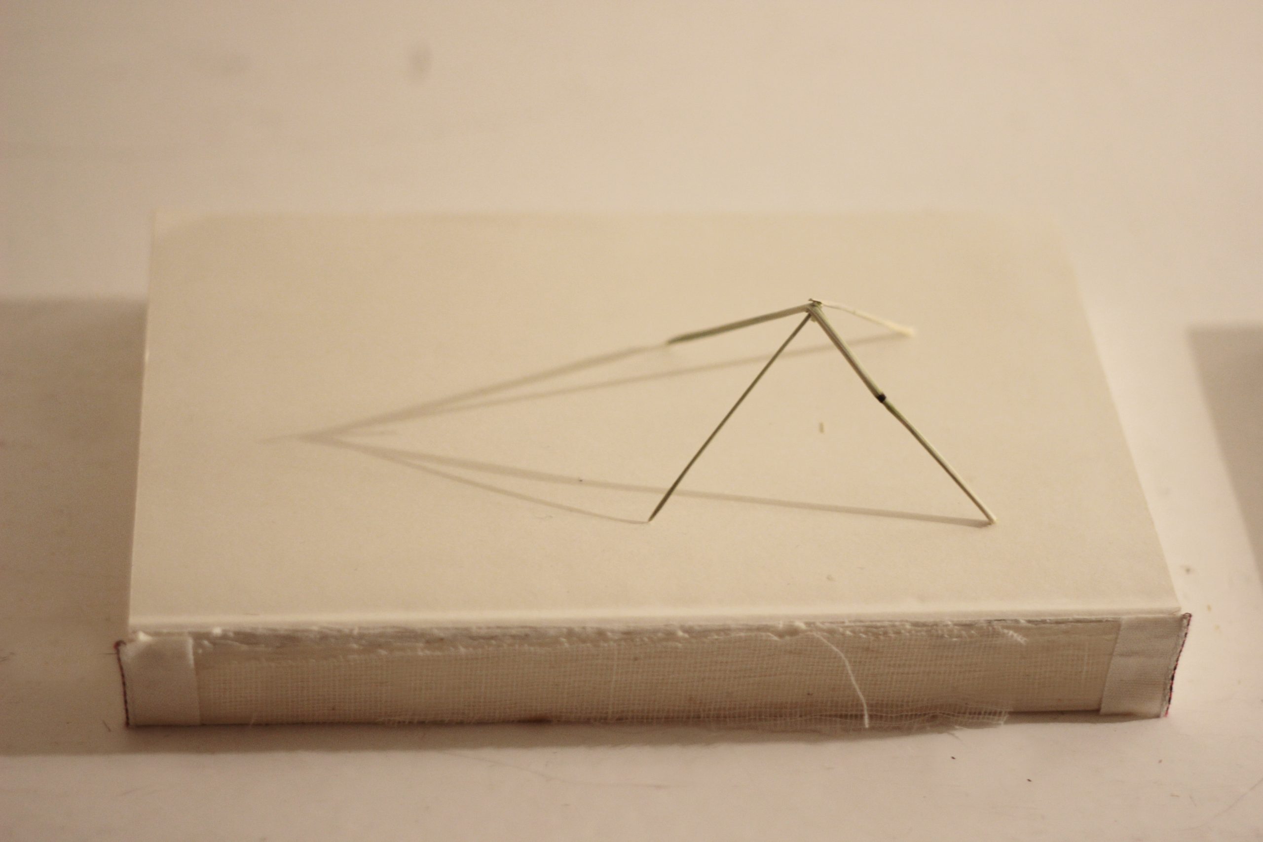 Landvinding / Árgangr / Achievement