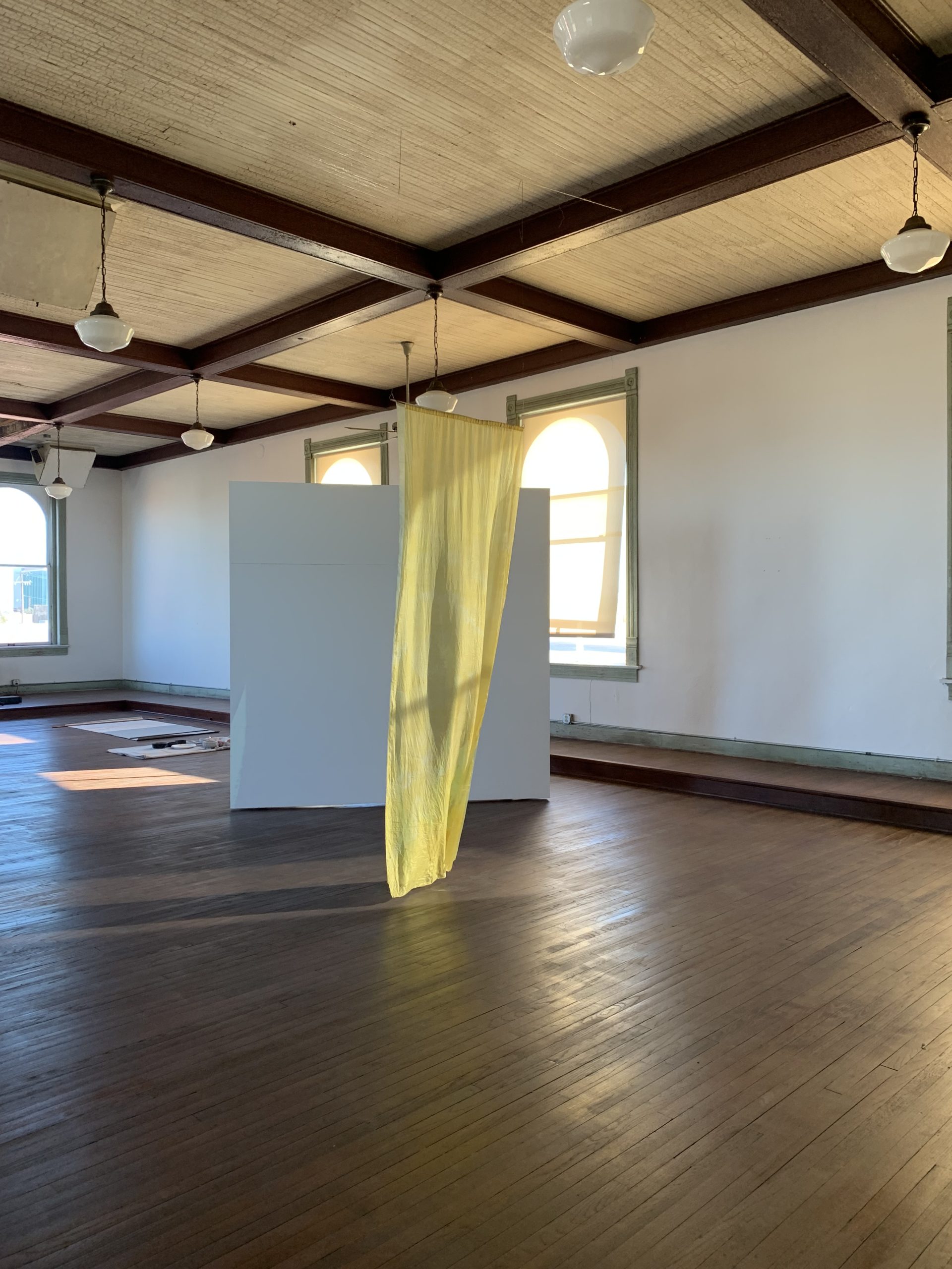 IMMATERIAL 
100W Corsicana, 2024.

Interactive installation: photogram and realtime projection of data generative video, silk wood.
Collaboration with Haraldur Karlsson. 
