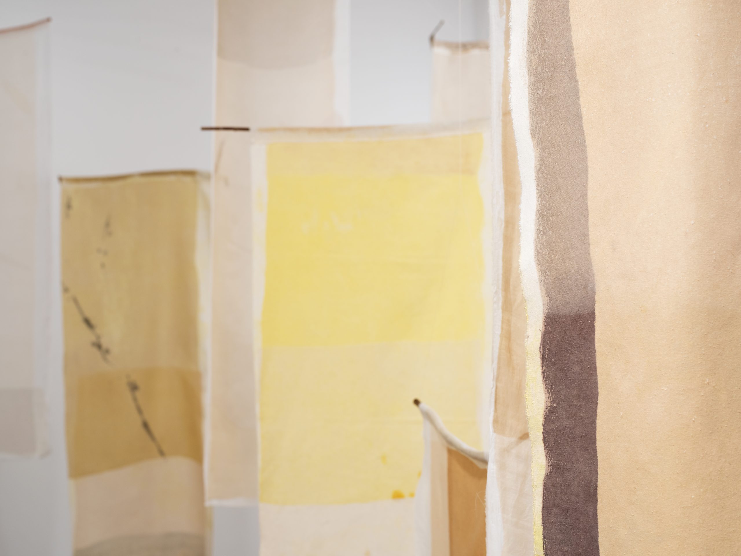 LOS
Installation. 
Silk, plant colors, chemical modifyers, copper, branches. 

Trykkeriet, Bergen 2025.

Photos: Daniel Persson 